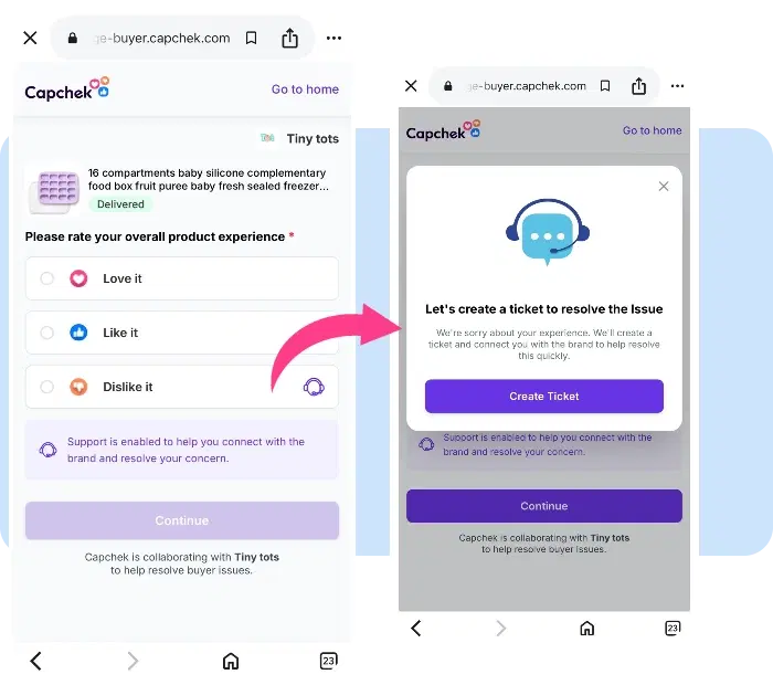 BuyerProof experience support interface